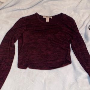 Forever21 Long-Sleeved Crop Top